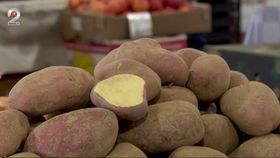 Cartoful, considerat mâncarea săracului, din ce în ce mai scump! Produsul de bază al românilor vine mai mult din import decât de la fermierii din țara noastră